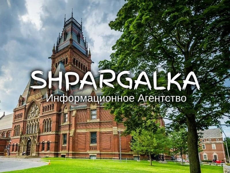 Дошка оголошень Вінниці та Вінниччини | вінниця, вінниця, вінницька область, купити в вінниці, вінниця оголошення, оголошення вінниця
