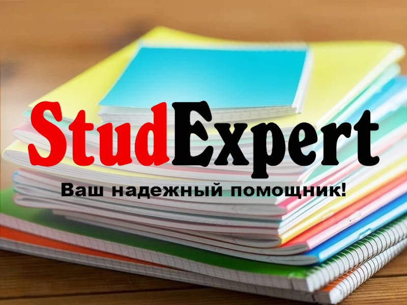 Дошка оголошень Вінниці та Вінниччини | Домашні тварини, собаки вінниця, кошенята вінниця
