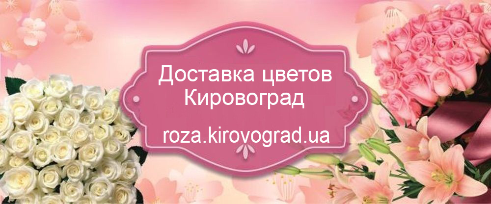 Дошка оголошень Вінниці та Вінниччини | Теле-, аудіо-, відеотехніка, фірми вінниці, вінниця магазини техніки
